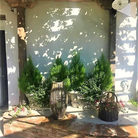 La Pergola Bed & Breakfast 3*