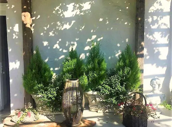 La Pergola 住宿加早餐酒店 3*