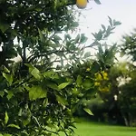 La Pergola Alojamento de Acomodação e Pequeno-almoço