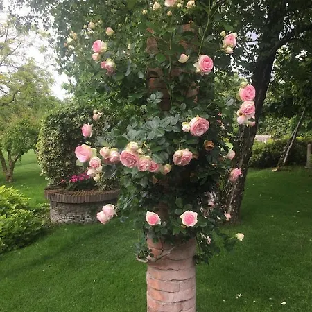 La Pergola Bed & Breakfast 3*