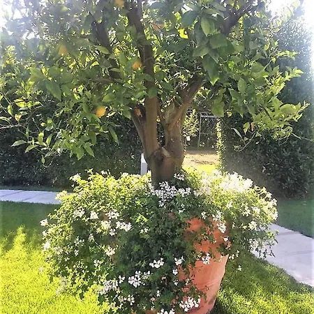 לינה וארוחת בוקר La Pergola צ'זנה