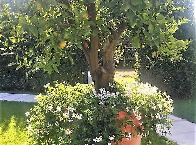 Oda ve Kahvaltı La Pergola Cesena